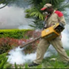 La imagen 4 de la Empresa FUMIEXPERTOS Servicio de control de plagas en Cali VAC