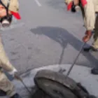 La imagen 5 de la Empresa FUMIEXPERTOS Servicio de control de plagas en Cali VAC