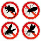 La imagen 2 de la Empresa FUMIEXTINTORES DE COLOMBIA Servicio de control de plagas en Cali VAC