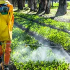 La imagen 5 de la Empresa FUMIGACIONES ABECE LTDA Servicio de control de plagas en Medellín ANT