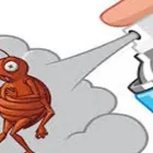 La imagen 5 de la Empresa FUMIGACIONES CHAO CUCARACHAS Servicio de control de plagas en Envigado ANT