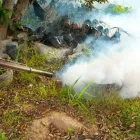 La imagen 4 de la Empresa FUMIGACIONES G.T. Servicio de control de plagas en Santa Marta MAG