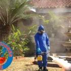 La imagen 1 de la Empresa FUMIGACIONES J.C Servicio de control de plagas en Pereira RIS