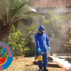 La imagen 2 de la Empresa FUMIGACIONES J.C Servicio de control de plagas en Pereira RIS