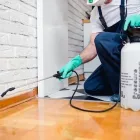 La imagen 2 de la Empresa FUMIGACIONES LÁSER Servicio de control de plagas en Cali VAC