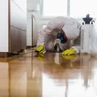 La imagen 3 de la Empresa FUMIGACIONES LÁSER Servicio de control de plagas en Cali VAC