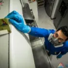 La imagen 2 de la Empresa FUMIGACIONES Y EXTINTORES MEDELLÍN Servicio de control de plagas en Medellín ANT