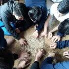 La imagen 6 de la Empresa FUNDACIÓN EL RENACER Organización de servicios sociales en Bogotá CUN