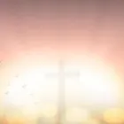 La imagen 4 de la Empresa FUNDACIÓN PARA LA PAZ Y LA RECONCILIACIÓN EL BUEN PASTOR FELIZ Iglesia en Cali VAC
