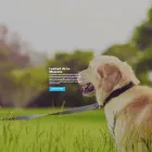 La imagen 5 de la Empresa FUNERALES DEL VALLE Tienda para mascotas en Cali VAC