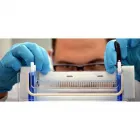 La imagen 1 de la Empresa GENES SAS Laboratorio de análisis clínicos en Medellín ANT