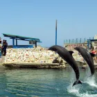 La imagen 4 de la Empresa GO COLOMBIA SM en Santa Marta MAG