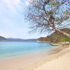 La imagen 7 de la Empresa GO COLOMBIA SM en Santa Marta MAG