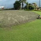 La imagen 5 de la Empresa GOLF PRADOS & JARDINES Servicio de diseño arquitectónico en Bucaramanga SAN