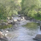 La imagen 2 de la Empresa HOSPEDAJE LA PETUNIA Hotel en Cali VAC