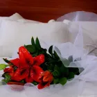 La imagen 1 de la Empresa HOTEL EL CAMPIN Servicio de administración de empresas en Bogotá CUN