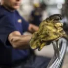 La imagen 1 de la Empresa ICOMALLAS S.A. Construcciones de canchas en Cali VAC