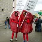 La imagen 4 de la Empresa IDEAS FACTORYX LTDA en Bogota DC