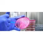 La imagen 3 de la Empresa IDIME S.A. BOGOTÁ LAGO Radiografía y diagnóstico por imagen en Bogotá CUN