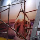 La imagen 1 de la Empresa IMPRESIÓN DIGITAL DE PLANOS, PUBLICIDAD Y DECORACIÓN Tienda de artículos de arte en Cali VAC
