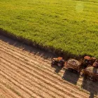 La imagen 5 de la Empresa INDUSTRIA FUMIGUADAÑAS Tienda de maquinaria en Dosquebradas RIS