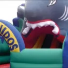 La imagen 4 de la Empresa INFLABLES DE COLOMBIA Tienda de artículos para piscinas en Bogotá DC