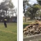 La imagen 2 de la Empresa INGENIERÍA AMBIENTAL INTEGRAL BOGOTA SAS Servicios forestales en Bogotá DC