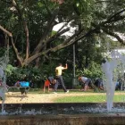 La imagen 1 de la Empresa INMOTION LA REVOLUCIÓN FITNESS Clubes deportivos en Cali VAC