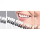 La imagen 5 de la Empresa INSUDENTAL S.A.S. Tienda de suministros médicos en Envigado ANT