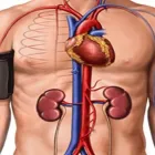 La imagen 3 de la Empresa IPS CARDINOR S.A.S Farmacia en Cúcuta NSA