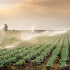 La imagen 1 de la Empresa IRRITECOL Servicios agrícolas en Cali VAC