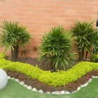 La imagen 1 de la Empresa JARDINERÍA PARAÍSOS Viveros en Cali VAC