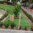 La imagen 2 de la Empresa JARDINERÍA PARAÍSOS Viveros en Cali VAC