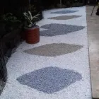 La imagen 4 de la Empresa JARDINERÍA PARAÍSOS Viveros en Cali VAC