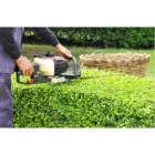 La imagen 2 de la Empresa JARDINES HABITAT MANTENIMIENTO Servicio de diseño arquitectónico en Cali VAC