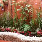 La imagen 1 de la Empresa JARDINES Y CASCADAS EL PARAÍSO en Santiago De Cali VAC
