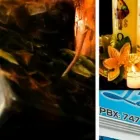 La imagen 4 de la Empresa LA CERERÍA VELAS Y VELONES Tienda de cirios y velas en Armenia QUI