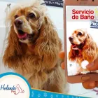 La imagen 3 de la Empresa LA HOLANDA MASCOTAS Veterinario en Cali VAC