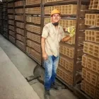 La imagen 2 de la Empresa LADRILLERA DELTA Proveedor de materiales de construcción en Medellín ANT