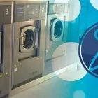 La imagen 5 de la Empresa LAVA YA PEREIRA Servicio de limpieza de alfombras en Pereira RIS