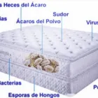La imagen 1 de la Empresa LAVADOS BURBUJAS Servicio de limpieza de alfombras en Medellín ANT