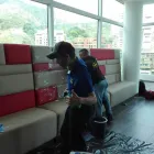 La imagen 9 de la Empresa LAVANDERÍA RESTAURAR ARTE en Cali VAC