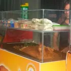 La imagen 5 de la Empresa LECHONERÍA DON BETO Servicio de entrega de comestibles a domicilio en Bogotá CUN