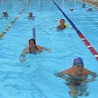 La imagen 2 de la Empresa LIGA VALLECAUCANA DE NATACIÓN, CLAVADOS, POLO ACUÁTICO Y NADO SINCRONIZADO Instalaciones de natación en Cali VAC