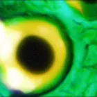 La imagen 3 de la Empresa MACROSEARCH Tienda de suministros médicos en Bogotá DC