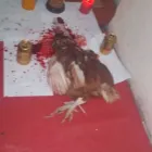 La imagen 5 de la Empresa MAESTRO AWUA Universidad en Bogotá, D.c. DC