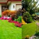 La imagen 2 de la Empresa MANTENIMIENTO LUIS FERNANDO PULGARÍN Equipos para césped y jardín en La Estrella ANT