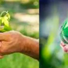 La imagen 3 de la Empresa MANTENIMIENTO LUIS FERNANDO PULGARÍN Equipos para césped y jardín en La Estrella ANT