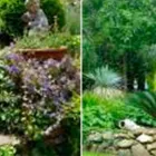 La imagen 4 de la Empresa MANTENIMIENTO LUIS FERNANDO PULGARÍN Equipos para césped y jardín en La Estrella ANT