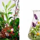 La imagen 5 de la Empresa MANTENIMIENTO LUIS FERNANDO PULGARÍN Equipos para césped y jardín en La Estrella ANT